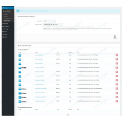 PWA Osclass Plugin (Native Apps Tool)