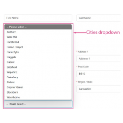 Cities Dropdown - Country/Zone/City Setup